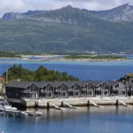 ea5cdd04db0b52a5458d1af382245a35ffe1994f20ceb5bc18518a4ed07f