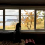 7d341f4d-f73f-4ce4-a5cb-a4e43aa53a0c